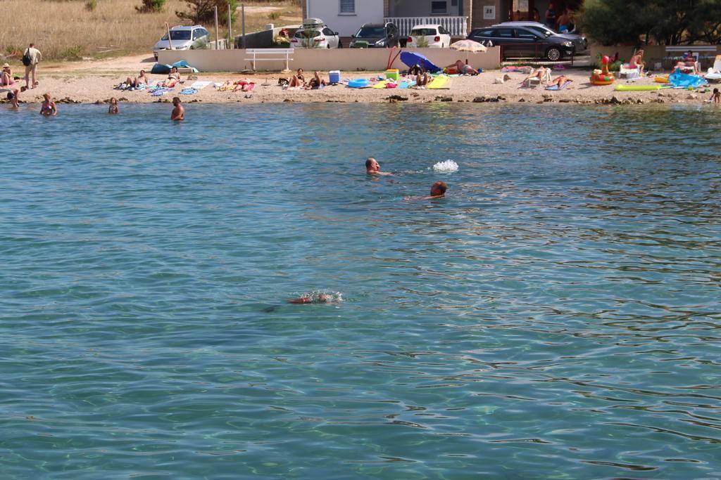 Apartmani Dragicevic Vir Buitenkant foto